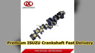 Piezas de alta calidad del cigüeñal 8976030040 de ISUZU 6HE1 6HK1